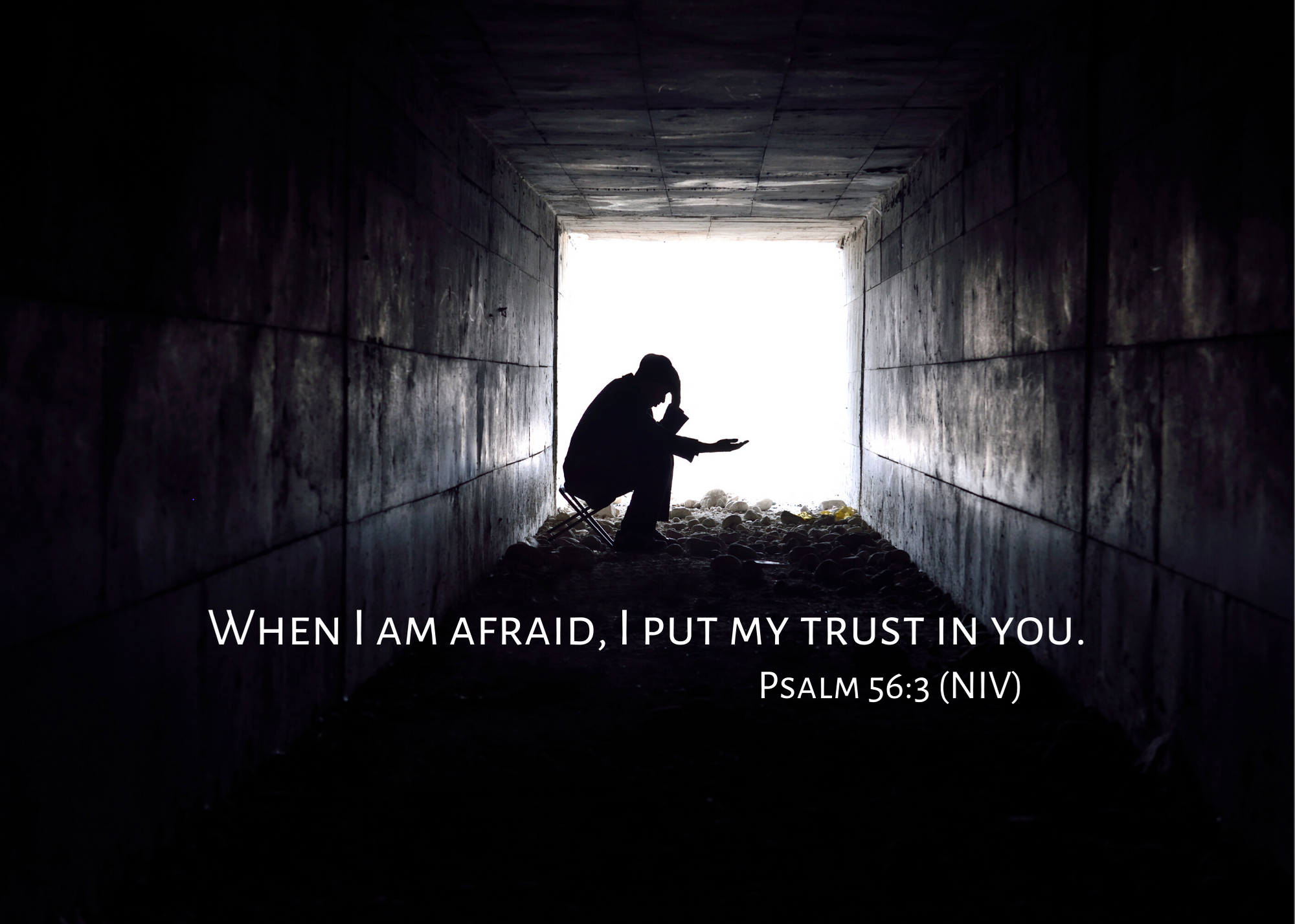 Psalm 56 3 NIV
