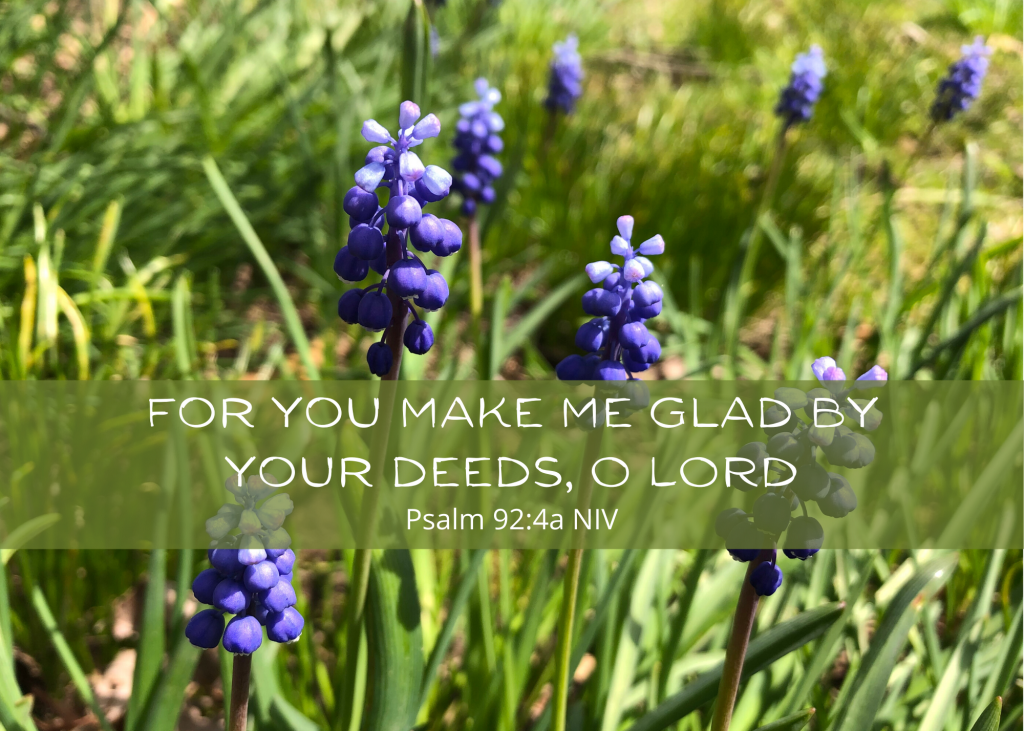 Serving – with Joy – Seek Grow Love