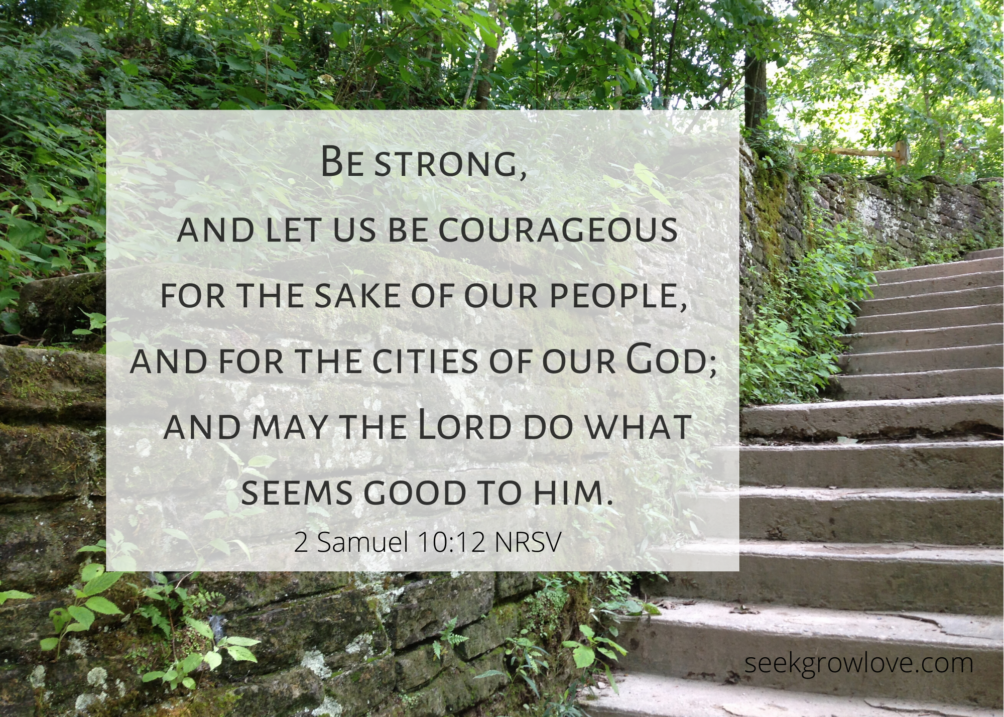 2 Samuel 10 12 NRSV sgl