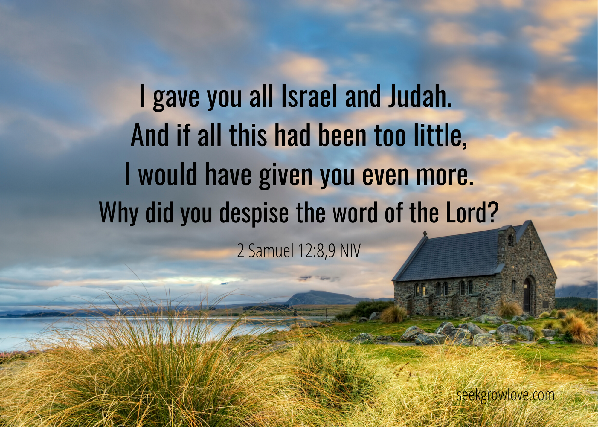 2 Samuel 12 8 9 NIV sgl