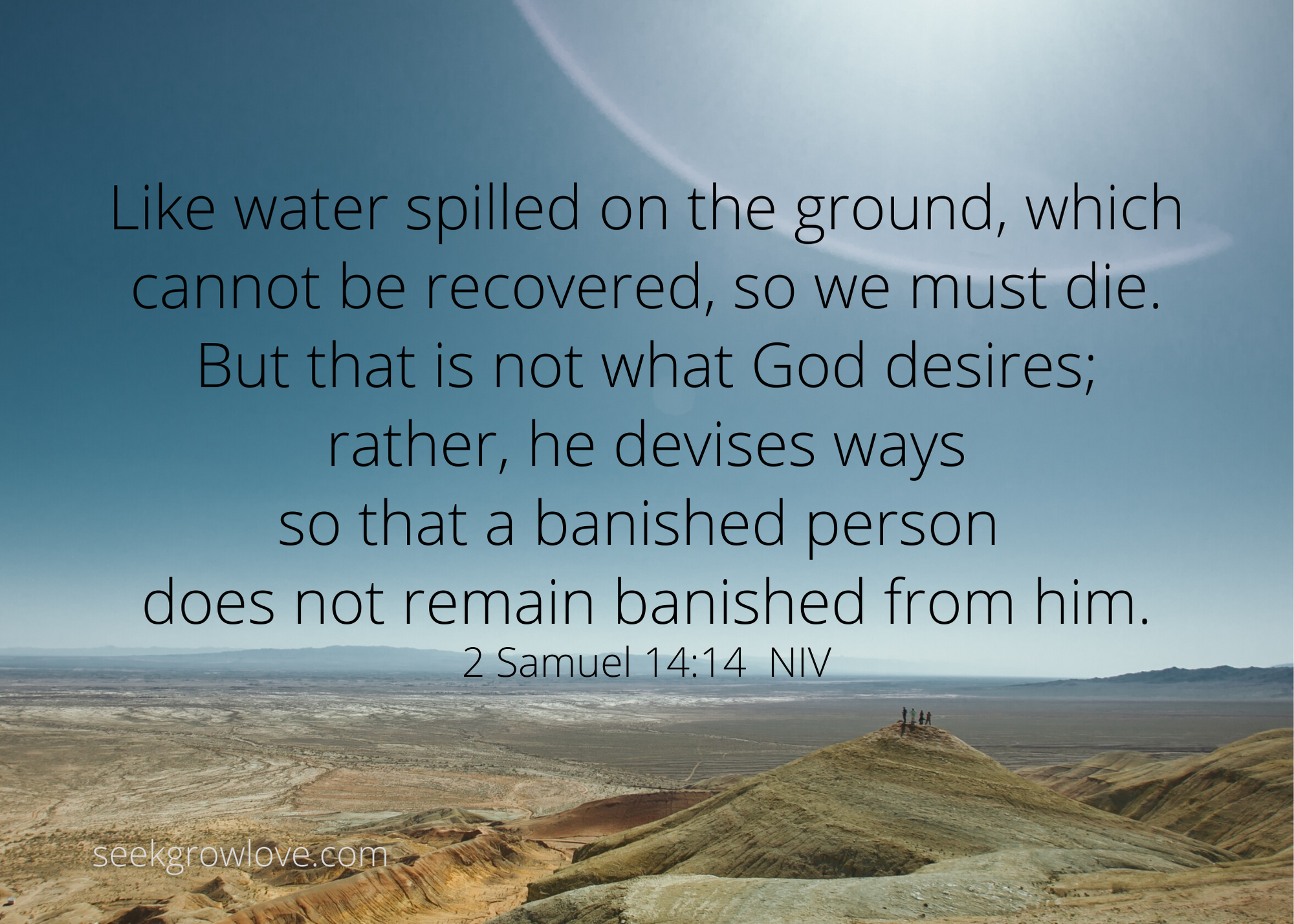 2 Samuel 14 14 NIV sgl