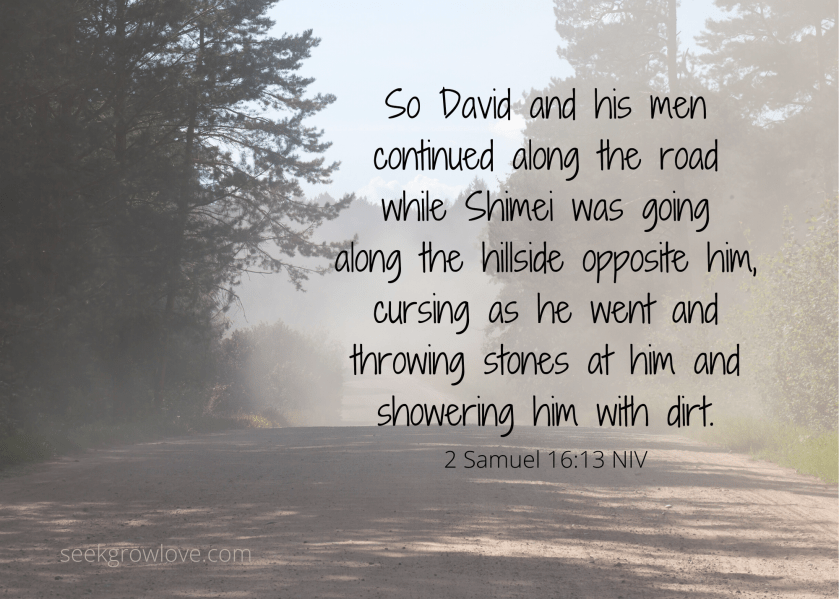 2 Samuel 16 18 NIV sgl