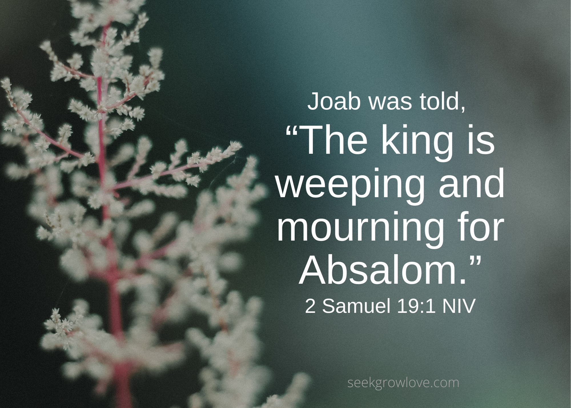 2 Samuel 19 1 NIV sgl