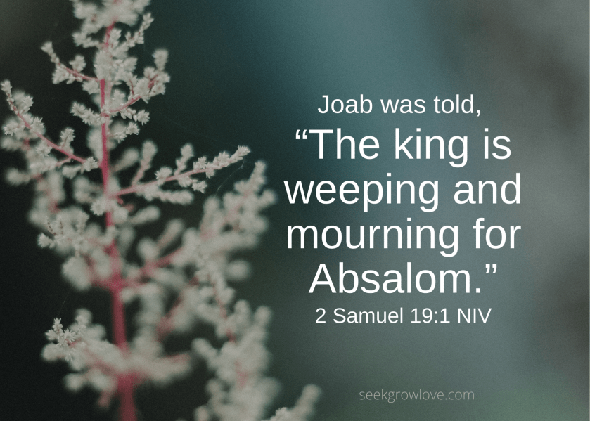 2 Samuel 19 1 NIV sgl