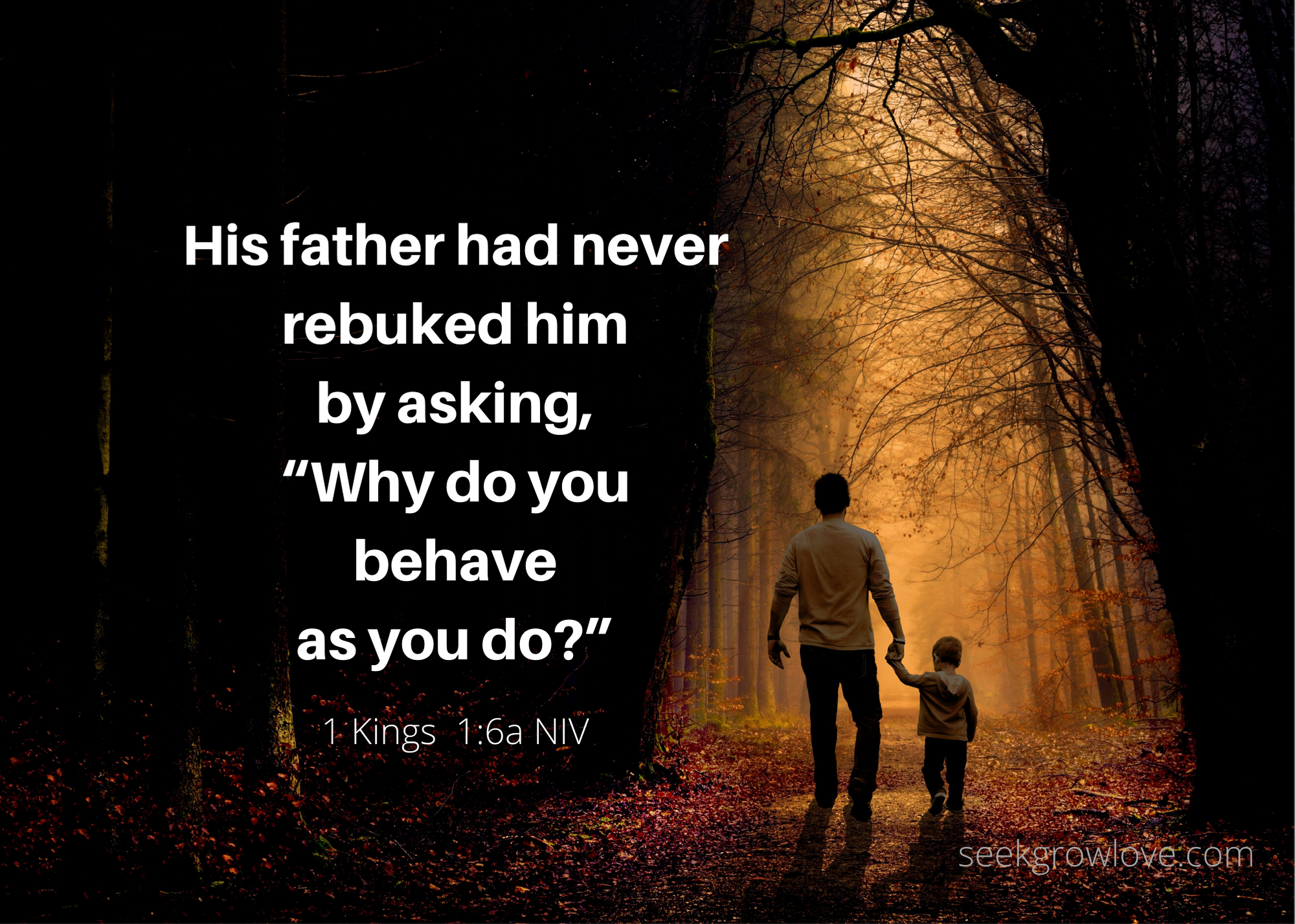 Kings 1 6a NIV sgl (1)