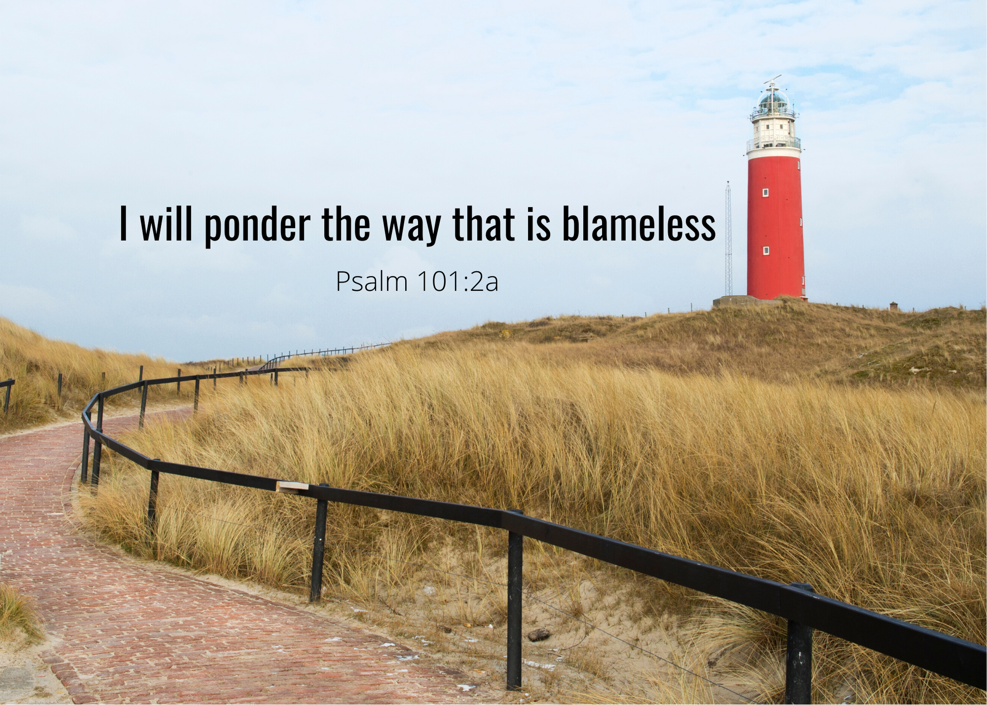 Psalm 101 2a