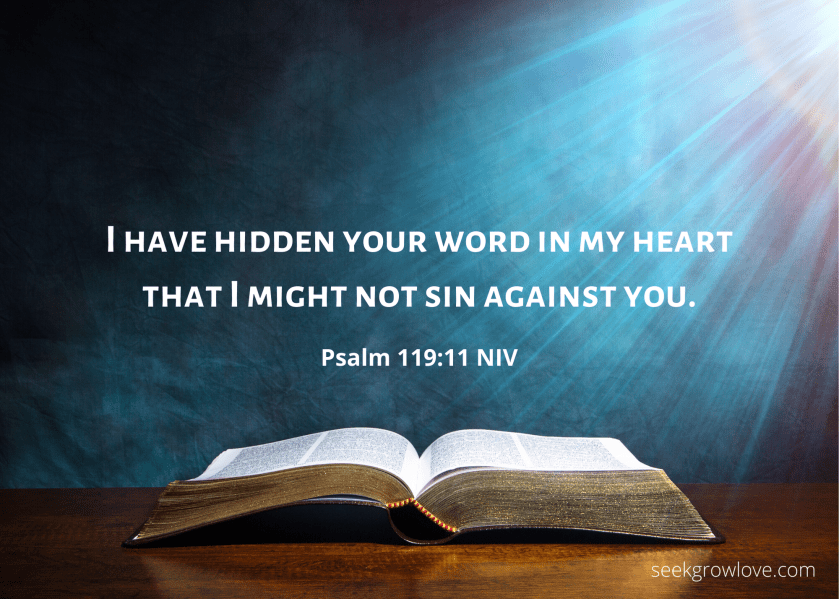 Psalm 119 11 NIV sgl