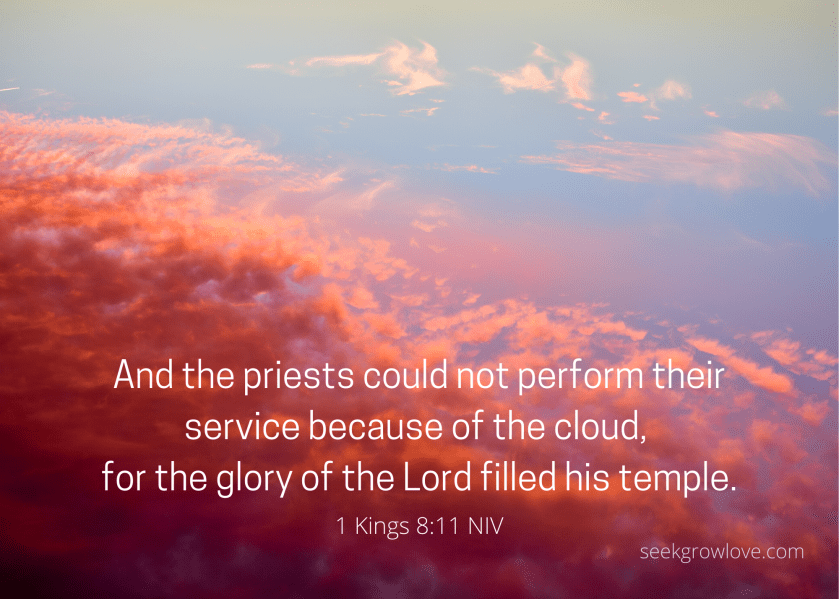 1 Kings 8 11 NIV sgl