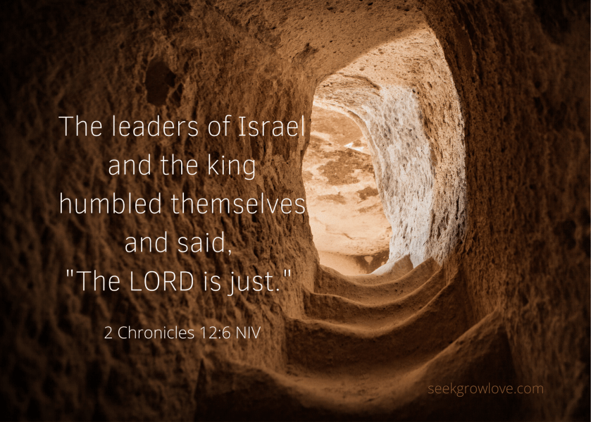 2 Chronicles 12 6 NIV sgl