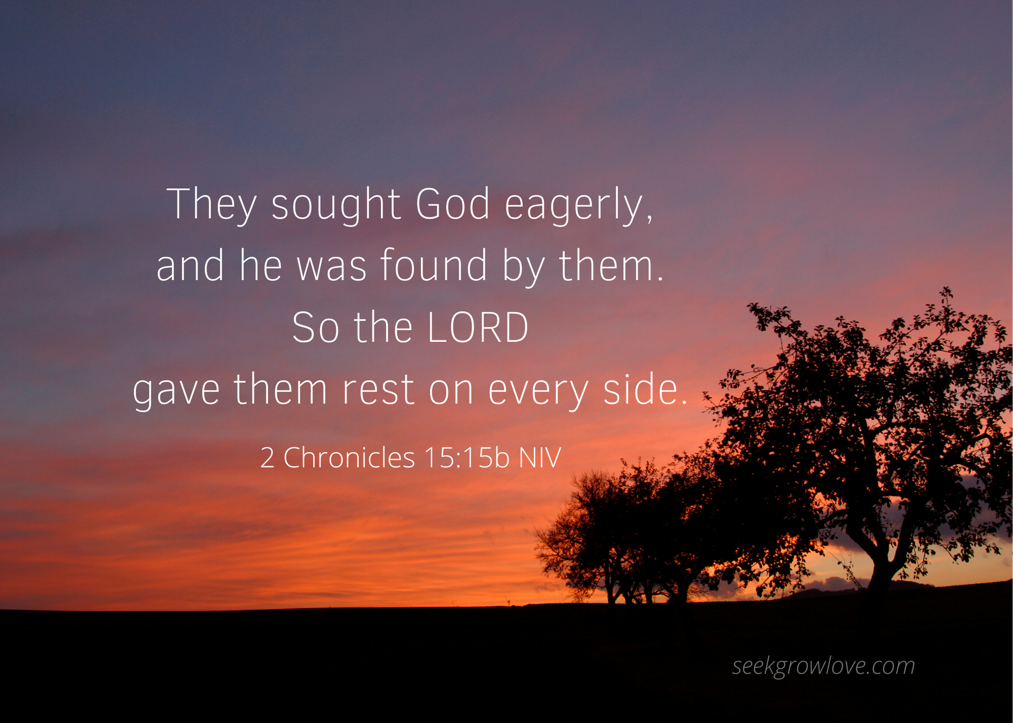 2 Chronicles 15 15b NIV sgl