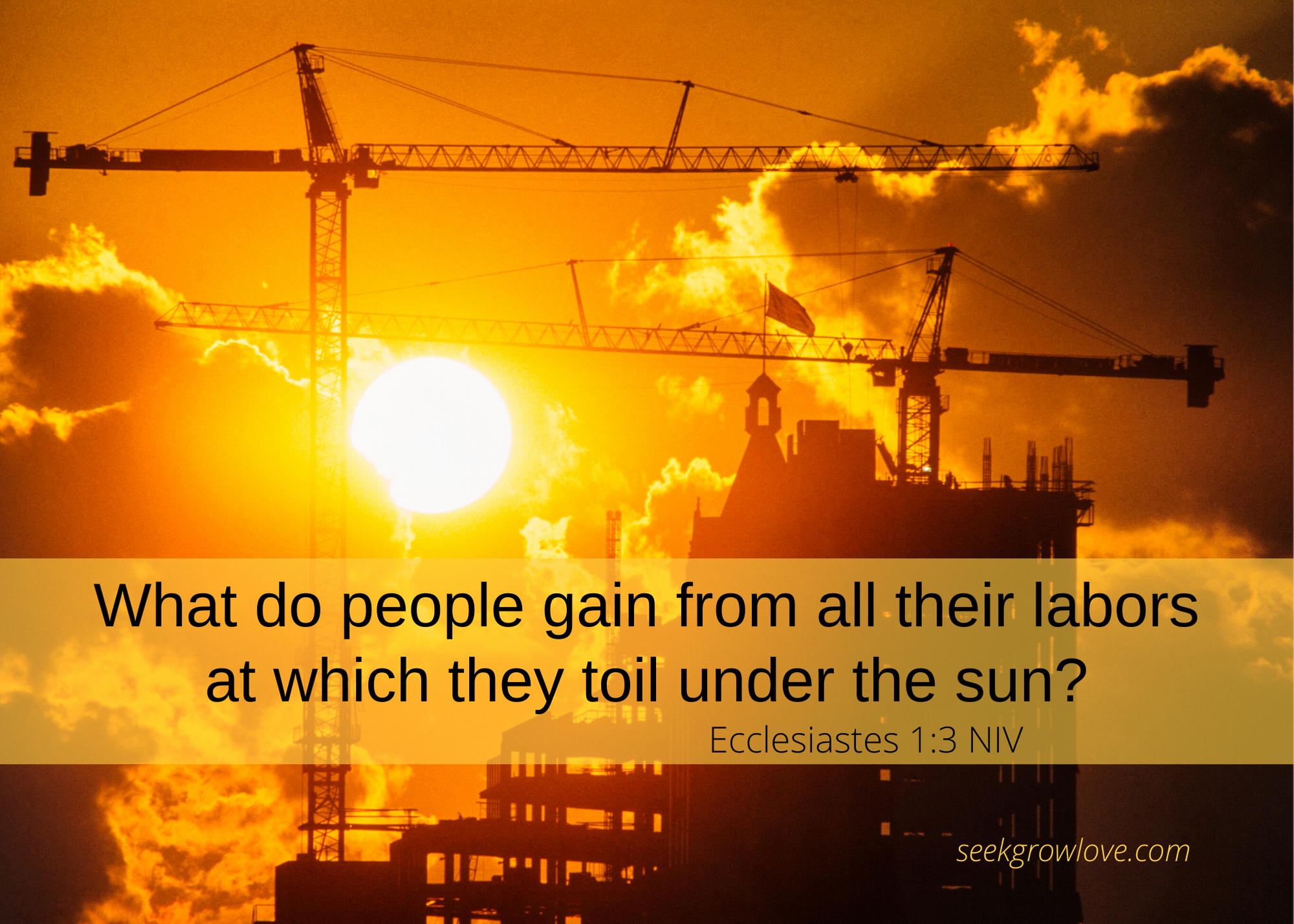 Ecclesiastes 1 3 NIV sgl