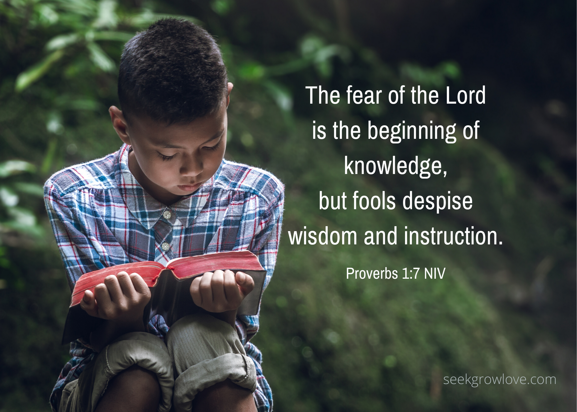 Proverbs 1 7 NIV (1)