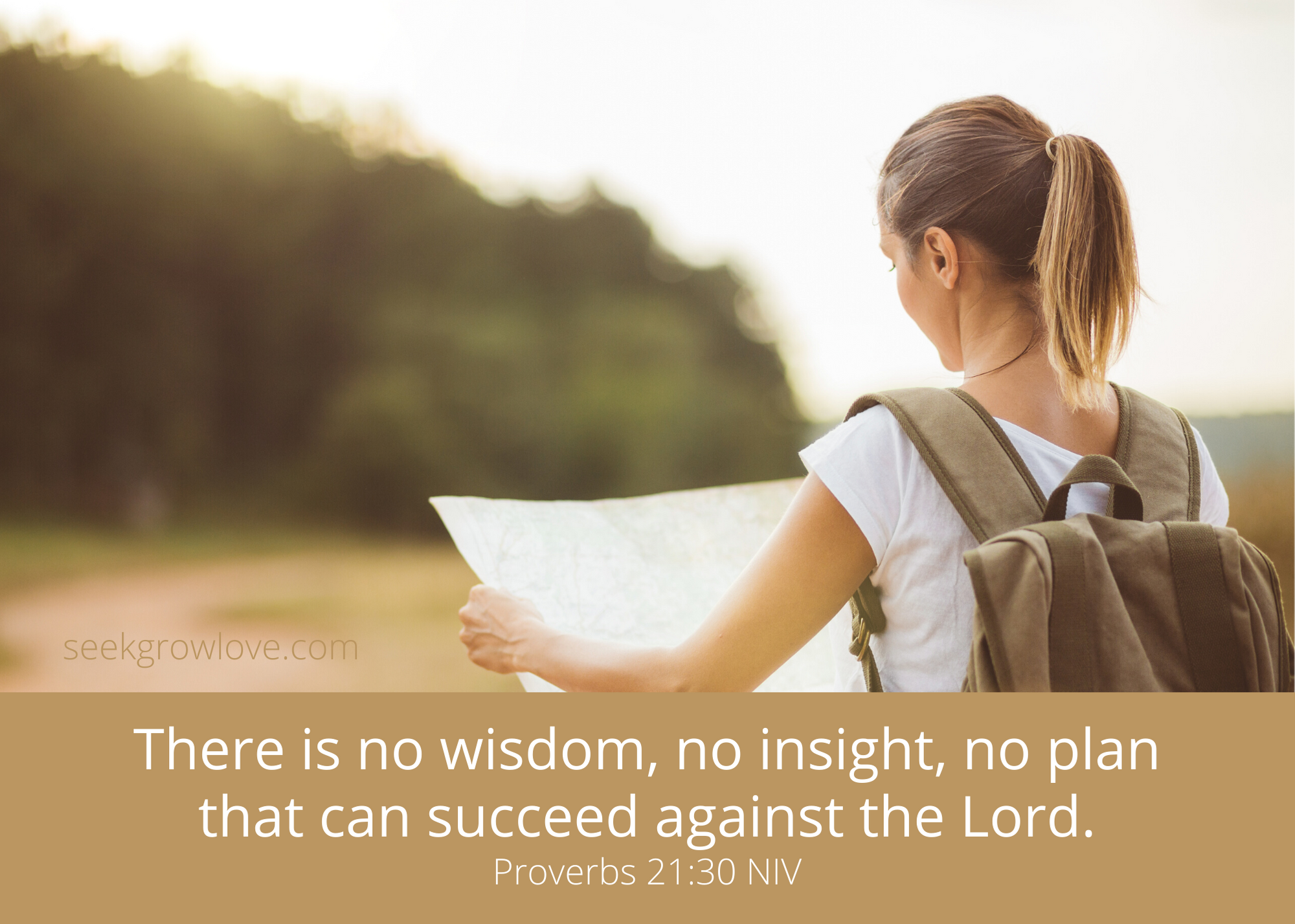 Proverbs 21 30 NIV sgl