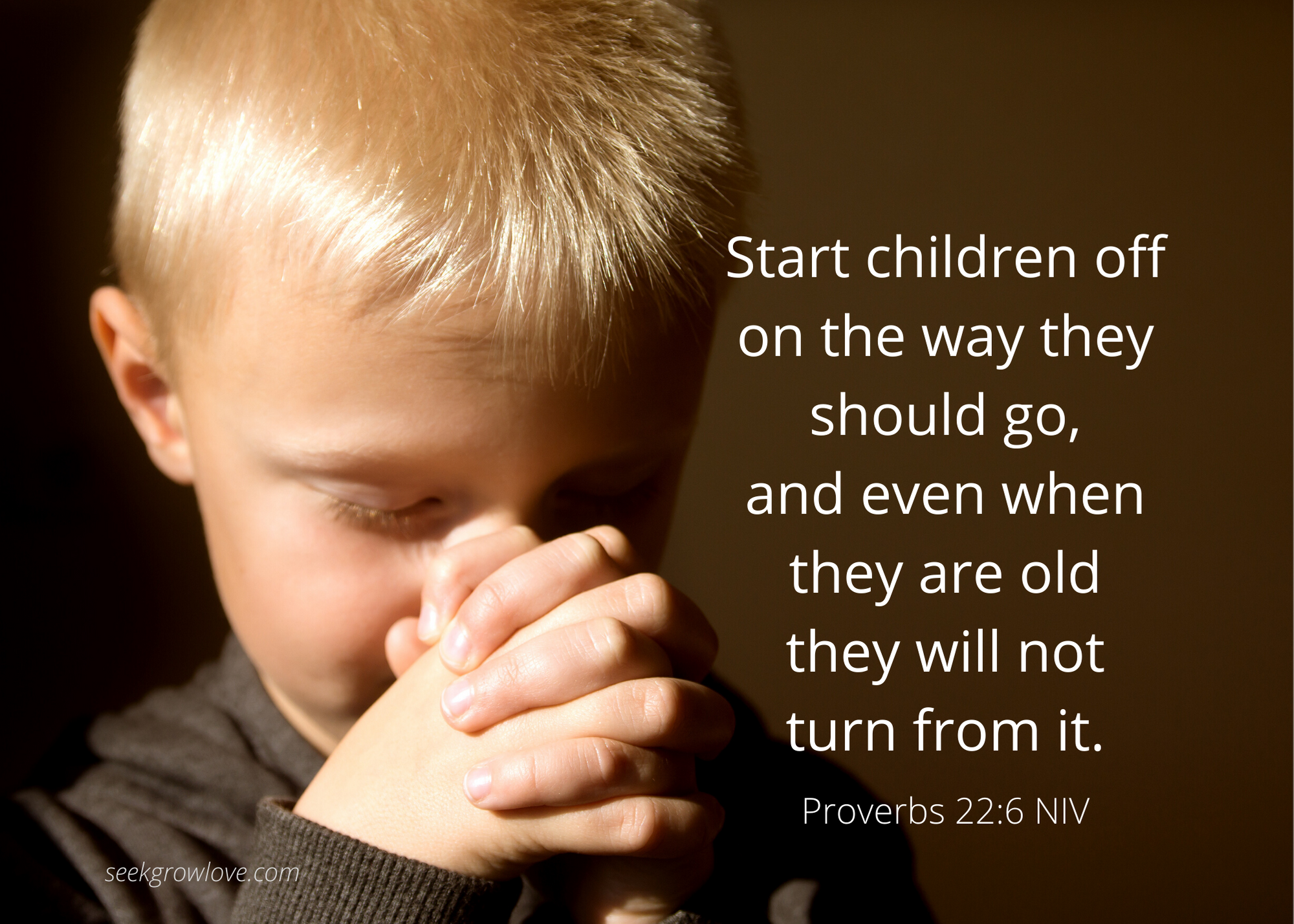 Proverbs 22 6 NIV sgl