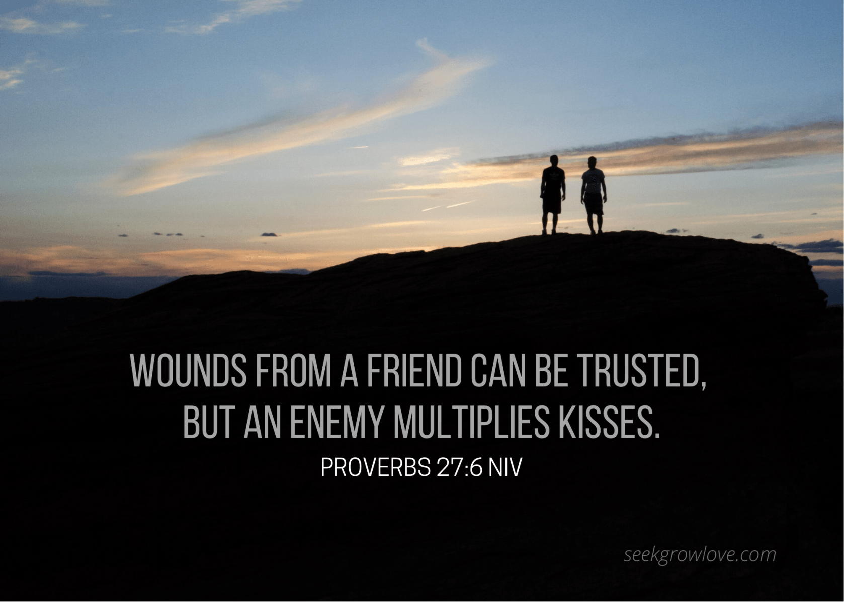wounds-from-a-friend-seek-grow-love