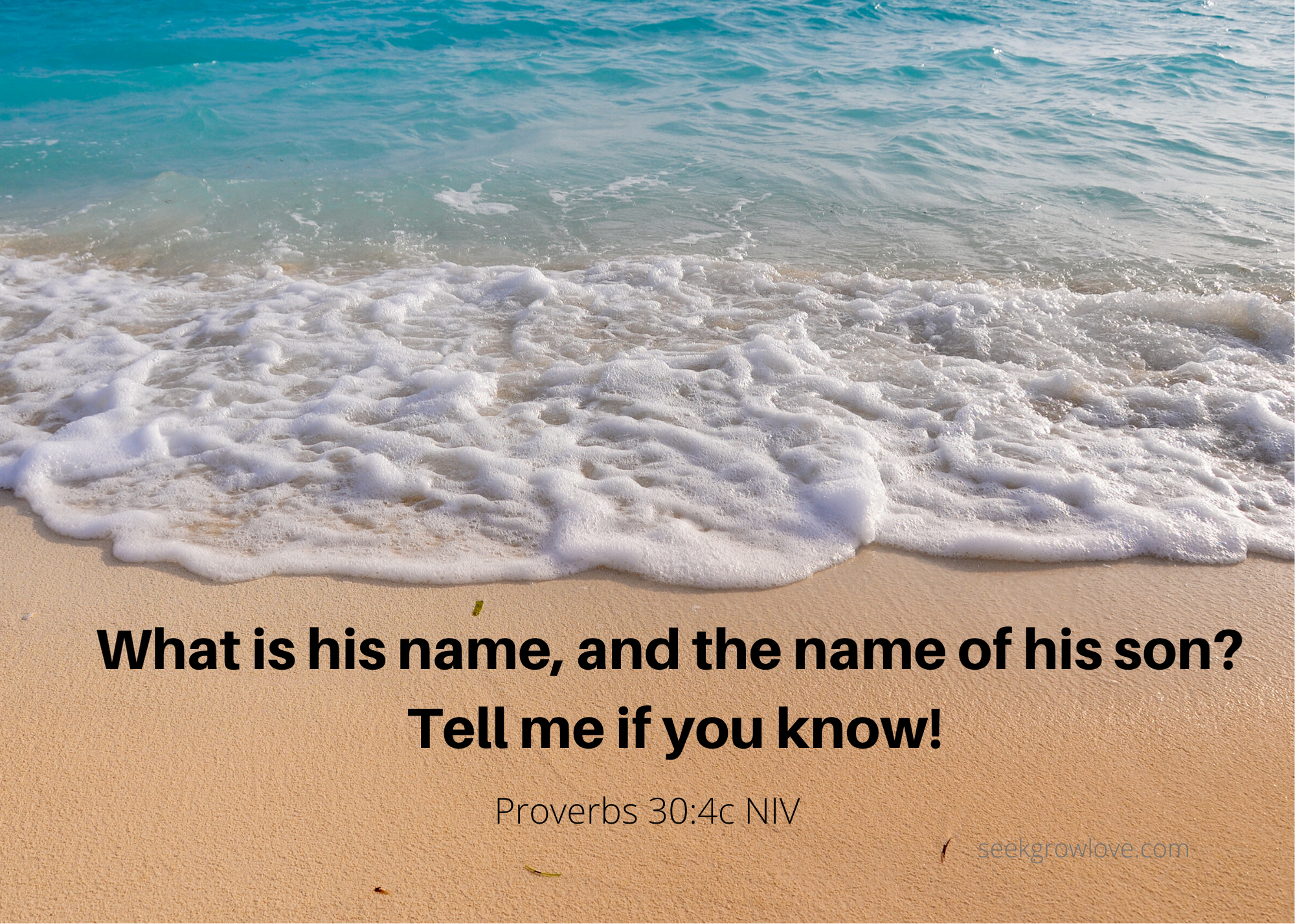 Proverbs 30 4c NIV sgl