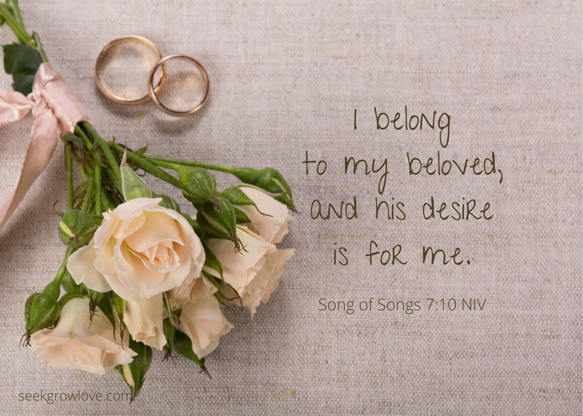 Song of Songs 7 10 NIV sgl