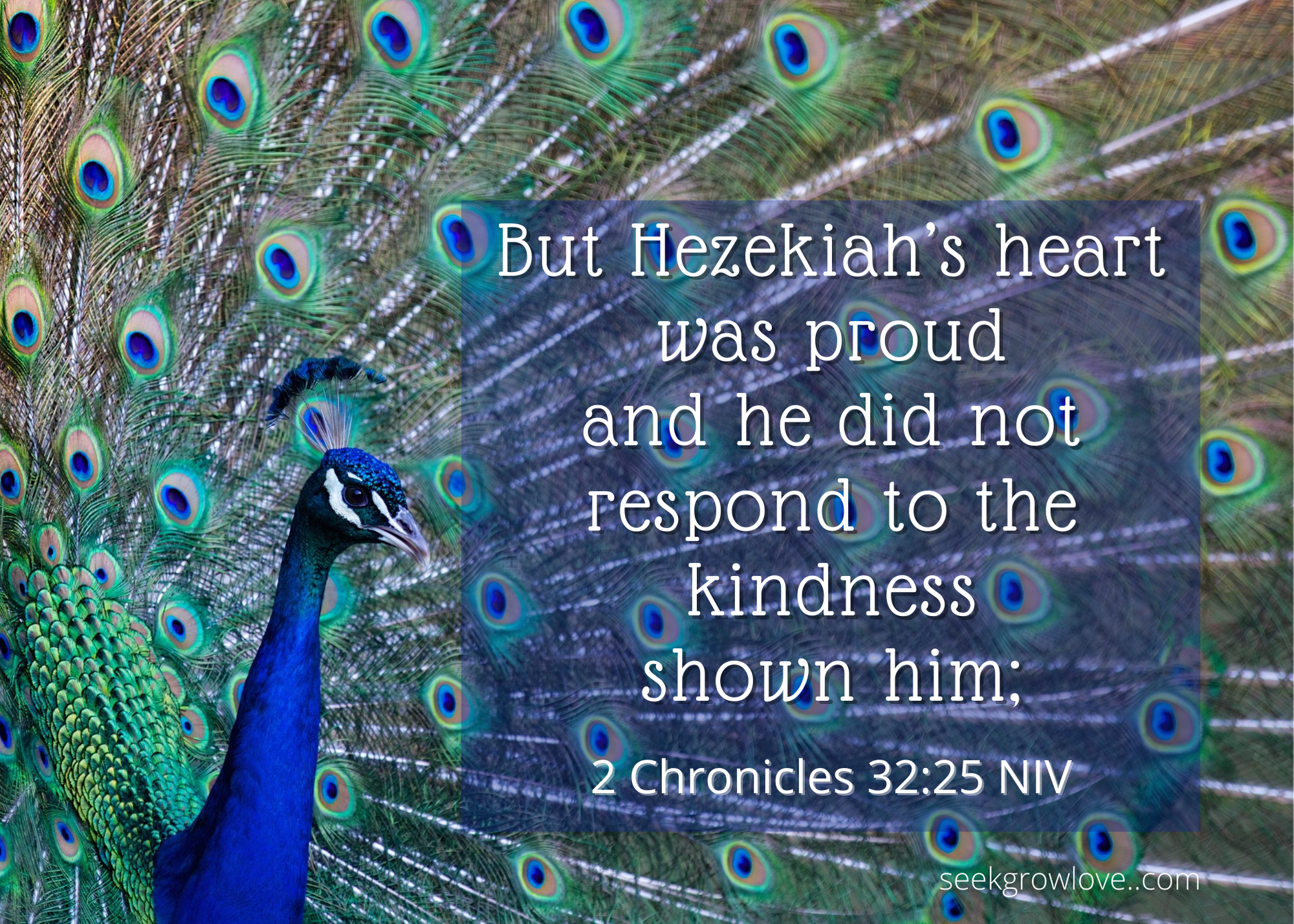 2 Chronicles 32 25 NIV sgl