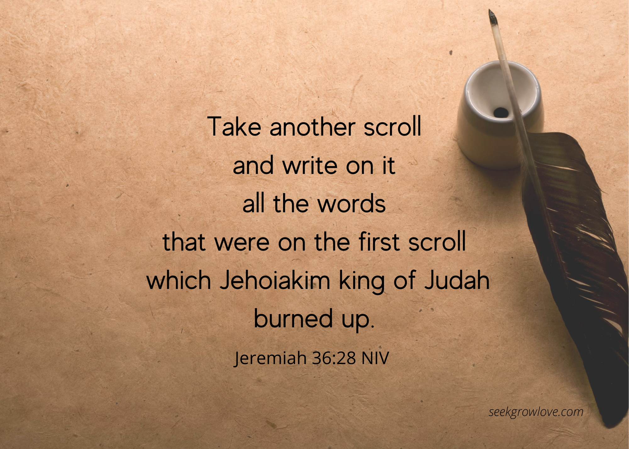 Jeremiah 36 28 NIV sgl