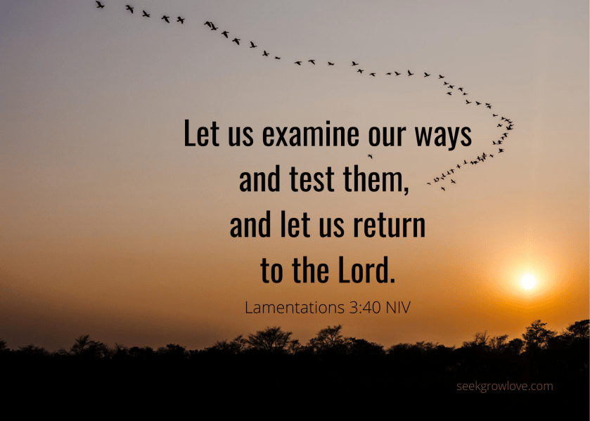 Lamentations 3 40 NIV sgl