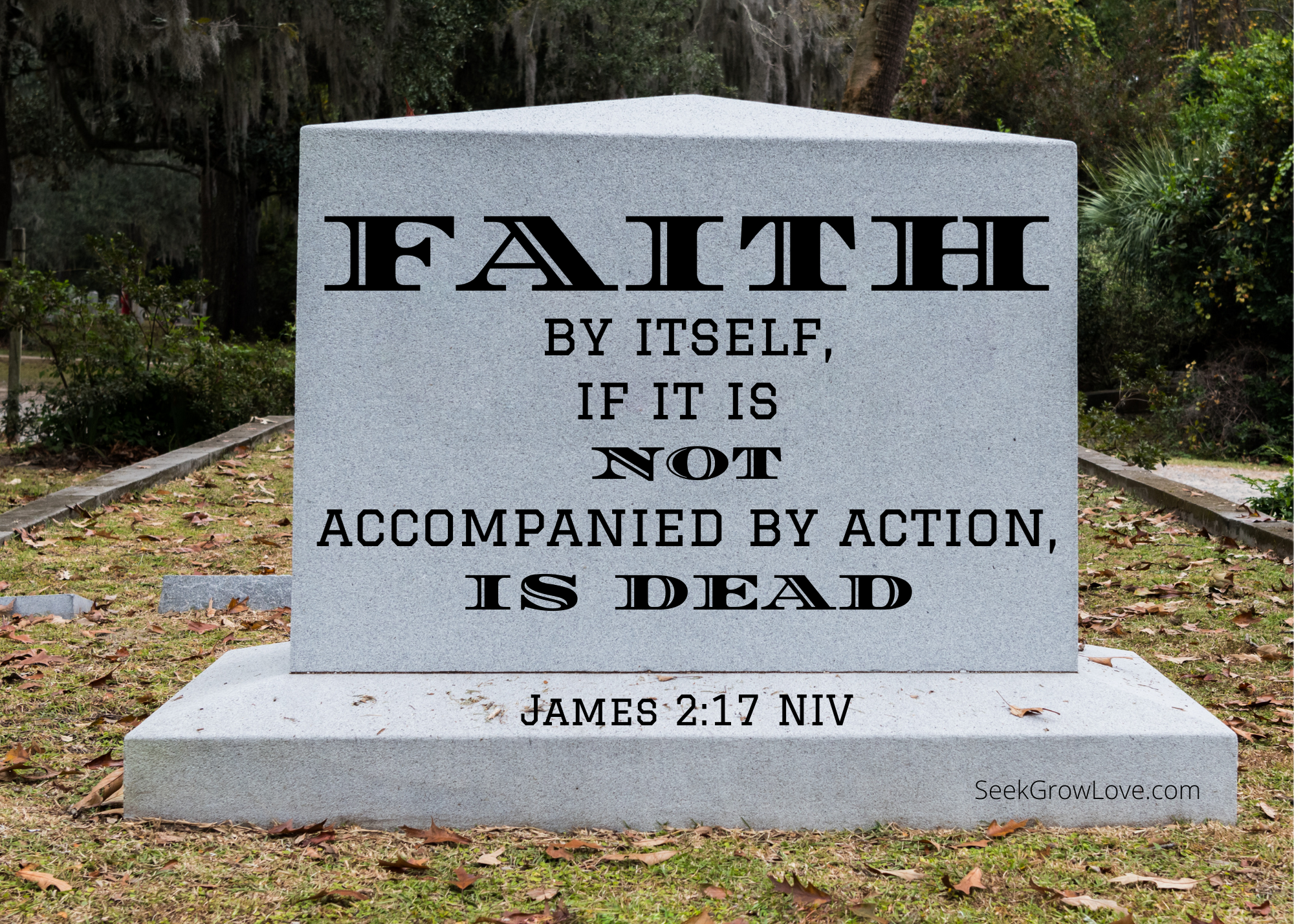 Dead Faith – Seek Grow Love