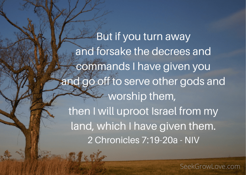 freedom-seek-grow-love