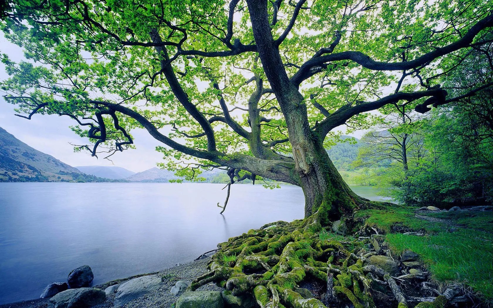 Planted by the Water – Seek Grow Love