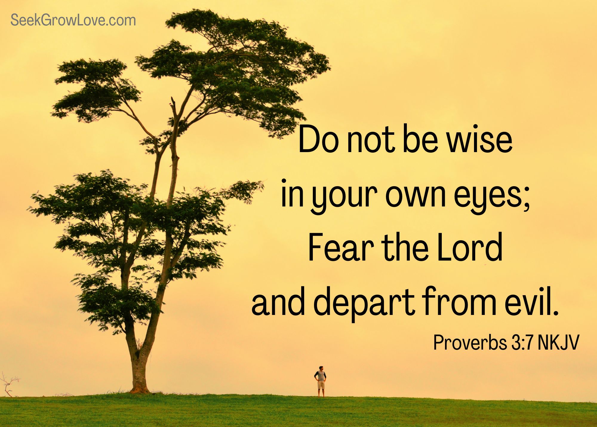 obedient-and-disobedient-sons-seek-grow-love