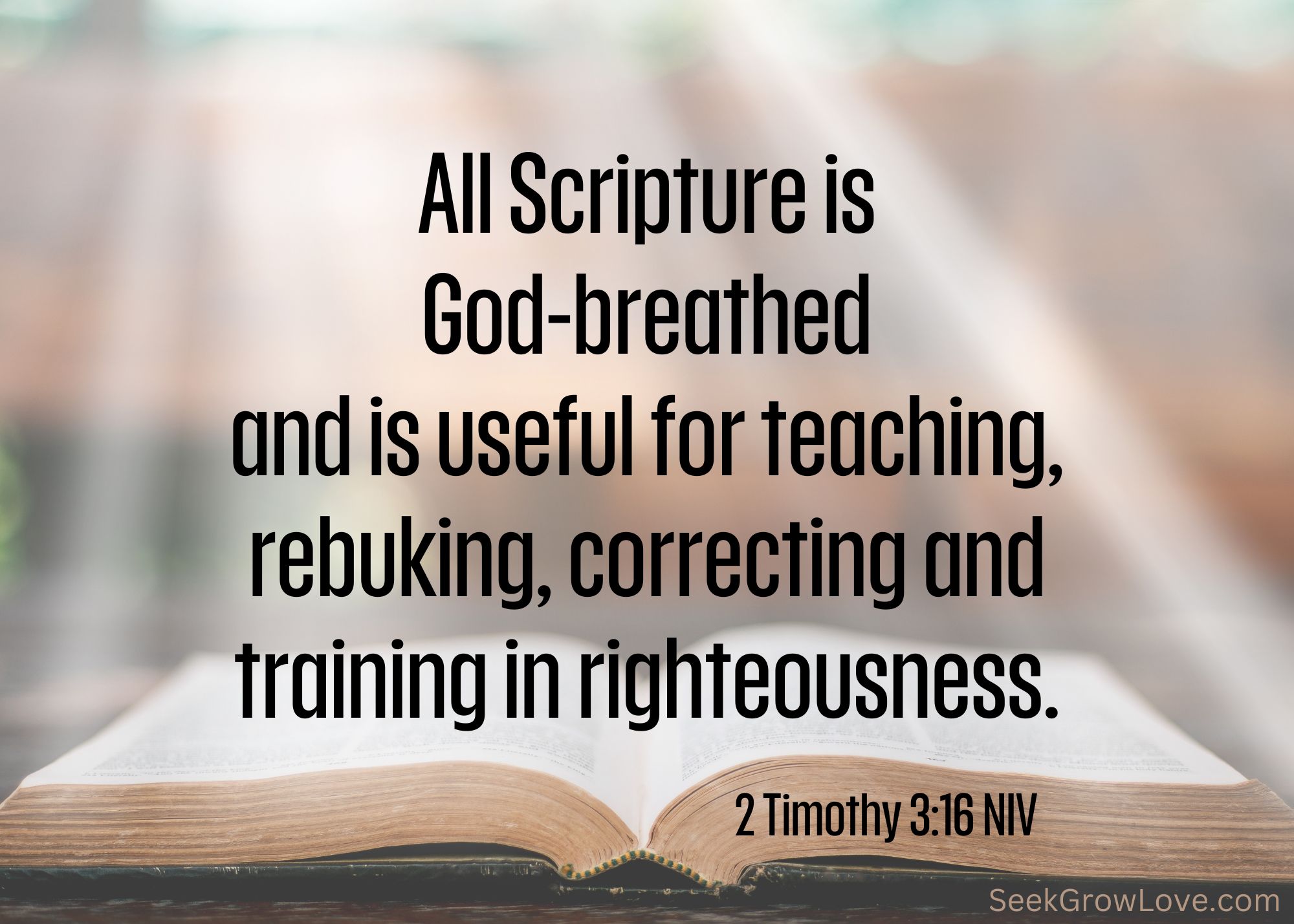 Living Godly Lives in a Godless Age – Seek Grow Love