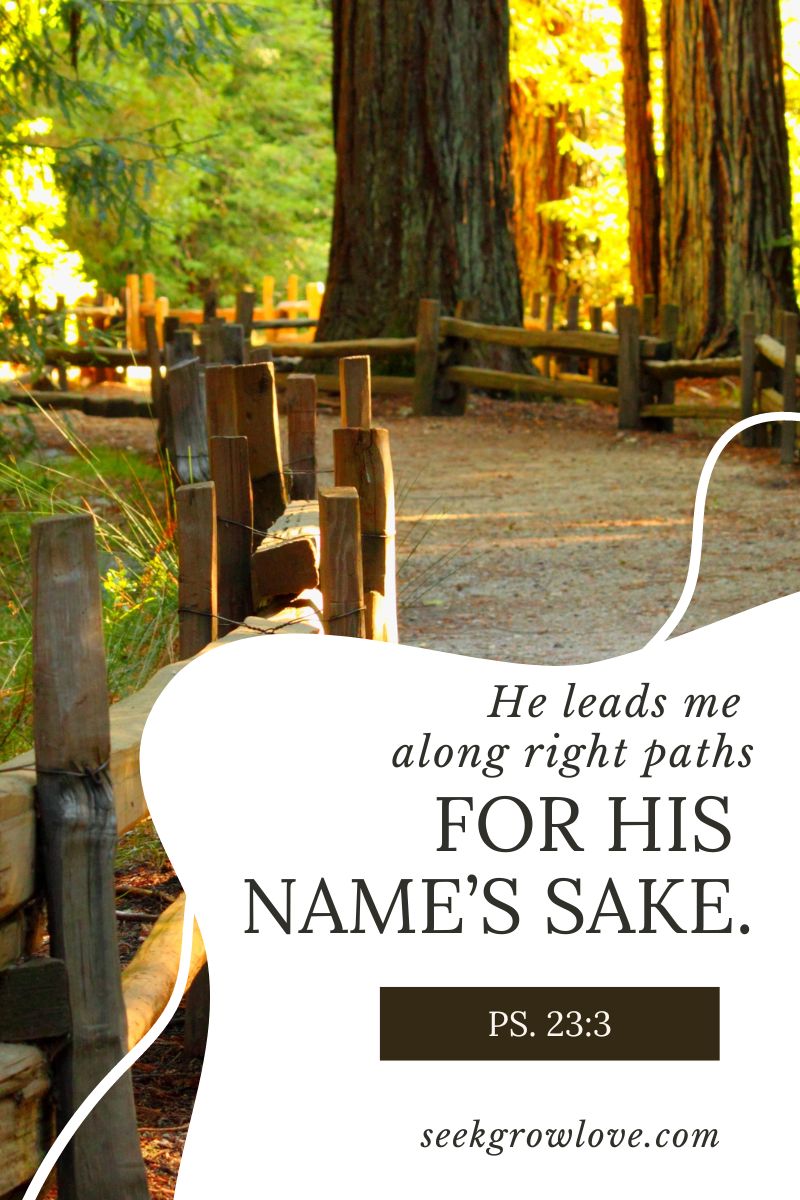 For His Name’s&nbsp;Sake