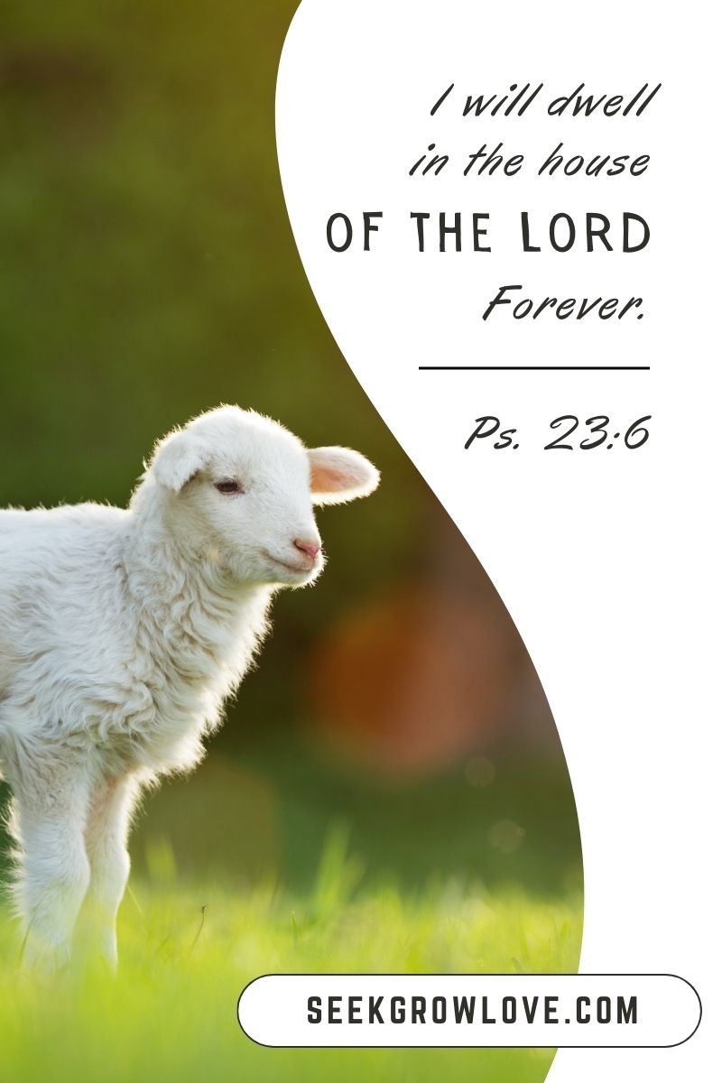 The Hope of the Passover&nbsp;Fulfilled