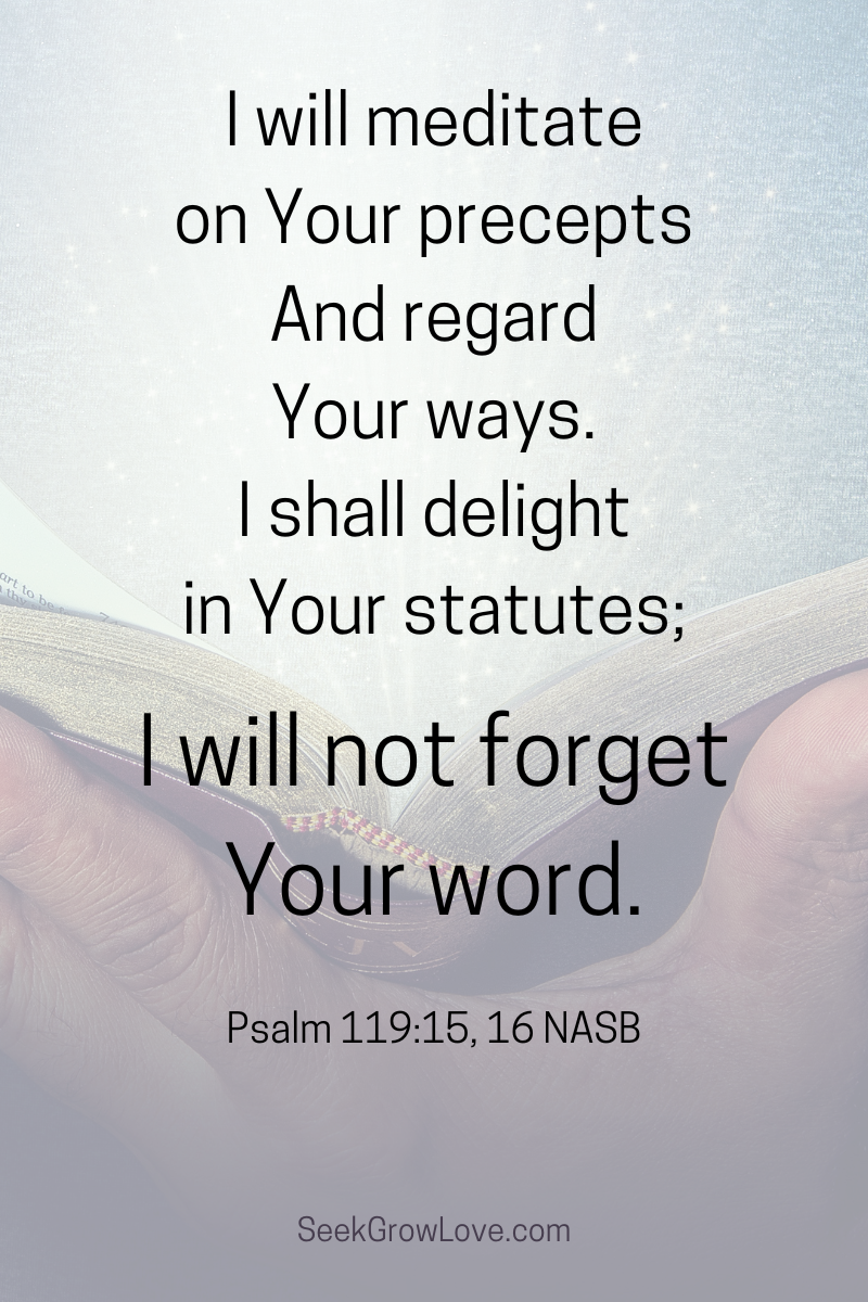 2025 Seek Grow Love Bible Reading Plan Seek Grow Love