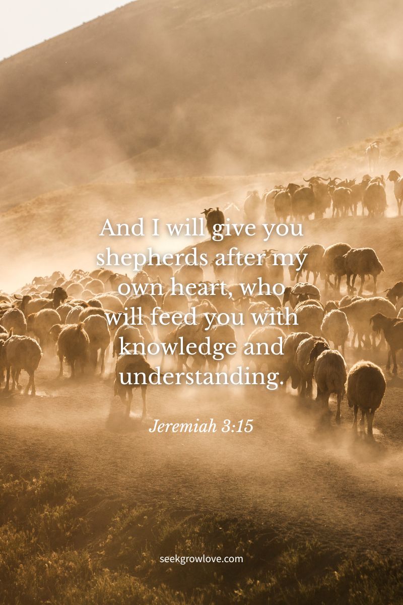 The Shepherd King of&nbsp;Israel